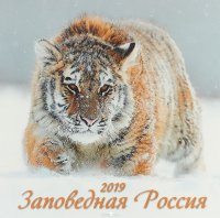 Заповедная Россия. Календарь (285*285) 2019 купить читать скачать онлайн - BookMix.ru