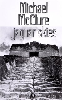 Jaguar Skies