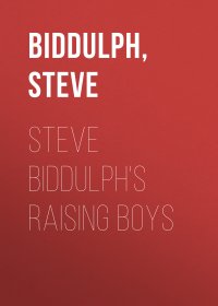 Steve Biddulph's Raising Boys
