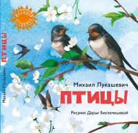 Птицы