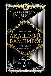 Академия вампиров. Книга 3. Поцелуй тьмы Райчел Мид купить читать скачать онлайн - BookMix.ru