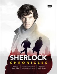 Sherlock: Chronicles, Steve Tribe