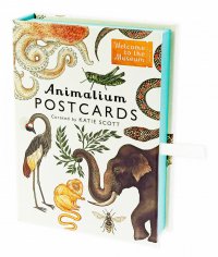 Animalium Postcards Jenny Broom купить читать скачать онлайн - BookMix.ru
