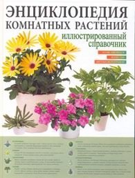 Энциклопедия комнатных растений
