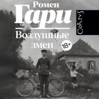 Воздушные змеи