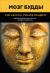 Отзывы о книге Мозг Будды: нейропсихология счастья, любви и мудрости