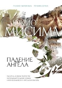 http://s.bookmix.ru/books/2/0/9/Padenie_angela_1209.jpg