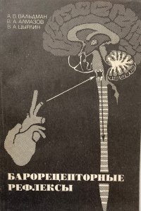 Барорецепторные рефлексы. Барорецепторная регуляция кровообращения