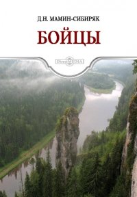 Бойцы