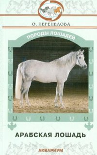 Арабская лошадь, О. Перепелова