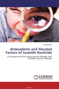 Antecedents and Situated Factors of Juvenile Homicide