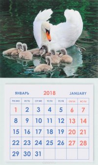 Календарь 2018 (на магните). Лебеди купить читать скачать онлайн - BookMix.ru