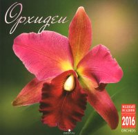 Календарь 2016 (на скрепке). Орхидеи / Orchids