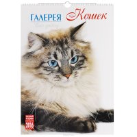 Календарь 2016 (на спирали). Галерея кошек / Cats Gallery