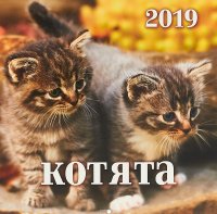 Календарь 2019 (на спирали). Котята купить читать скачать онлайн - BookMix.ru