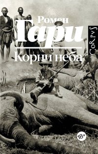 Корни неба