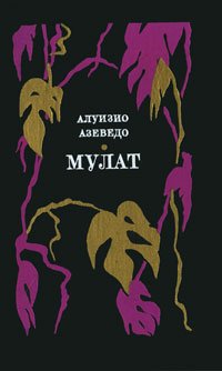 Мулат, Алуизио Азеведо