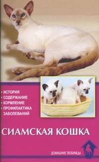 Сиамская кошка. История. Содержание. Кормление. Профилактика заболеваний