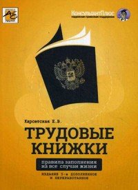 Трудовые книжки. Правила заполнения на все случаи жизни Е. В. Карсетская купить читать скачать онлайн - BookMix.ru