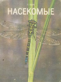 Насекомые
