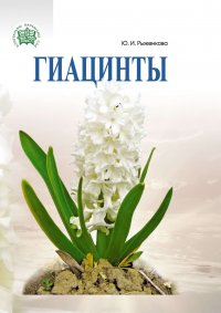 Гиацинты, Рыженкова Юлия Ивановна