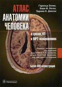 Атлас анатомии человека в срезах, КТ- и МРТ-изображениях, Гарольд Эллис, Бари М. Логан, Эдриан К. Диксон