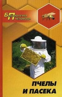 Пчелы и пасека