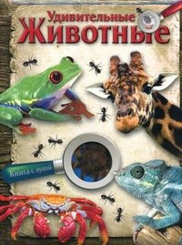 Стрекоза.Книга с лупой.Удивительные животные купить читать скачать онлайн - BookMix.ru