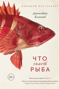Что знает рыба, Джонатан Бэлкомб