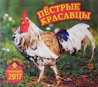 Перекидной календарь на 2017 год. Пестрые красавцы. Год петуха