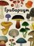 Рецензия на «Грибариум», Дэвид Л. Хауксворт, Лора М. Сьюз, Пепейн В. Кой, Каре Лиматайнен — отзыв читателя Sab39 | BookMix