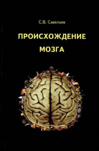 Происхождение мозга, Сергей Савельев