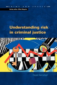 UNDERSTANDING RISK IN CRIMINAL JUSTICE