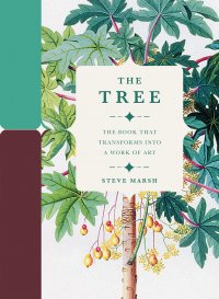 The Tree, Steve Marsh