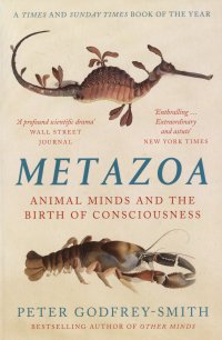 Metazoa: Animal Minds and the Birth of Consciousness