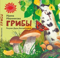 Грибы