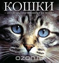 Кошки - это духи, спустившиеся на землю Кошки - это духи, спустившиеся на землю