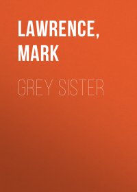 Grey Sister (Book of the Ancestor, Book 2) Mark  Lawrence купить читать скачать онлайн - BookMix.ru