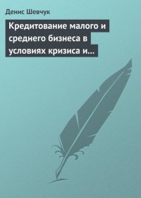 Кредитование малого и среднего бизнеса в условиях кризиса и финансовой нестабильности Д. А. Шевчук купить читать скачать онлайн - BookMix.ru