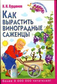 Как вырастить виноградные саженцы, Н. И. Курдюмов