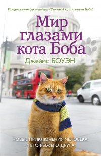 Мир глазами кота Боба