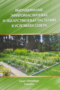 Выращивание эфиромасличных и лекарственных растений в условиях Севера