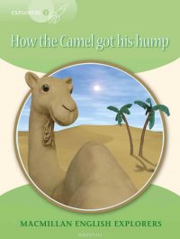 How the Camel got his Hump: Level 3