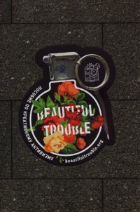 Beautiful Trouble: Пособие по креативному активизму