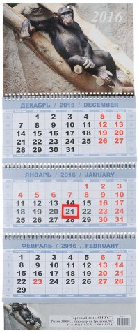 Календарь 2016 (на спирали). Символ года