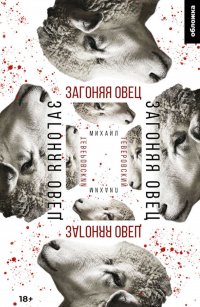 Загоняя овец Загоняя овец